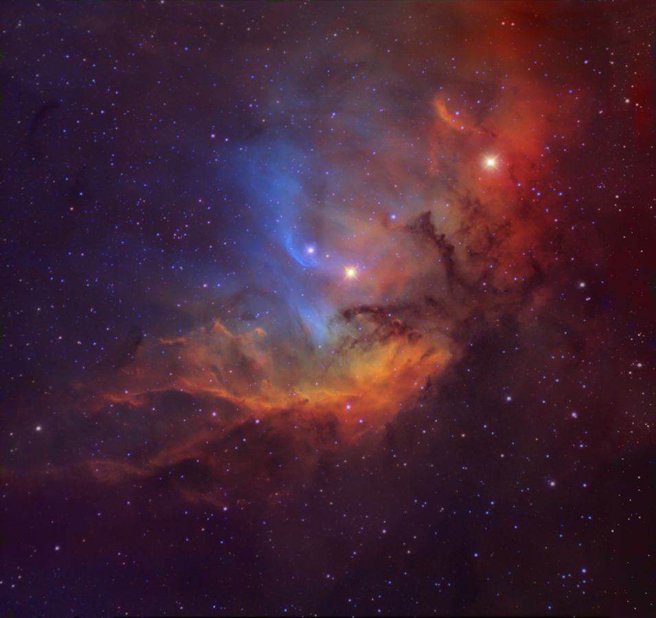 The Tulip Nebula (Sh2-101)