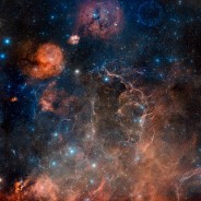 The Opulent Vela Supernova Remnant