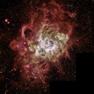 The Giant Stellar Nursery NGC 604 that’s 100x the Orion Nebula