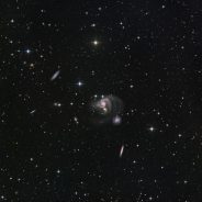 HCG 91: Furious Gravity Tug of War Between Galaxies
